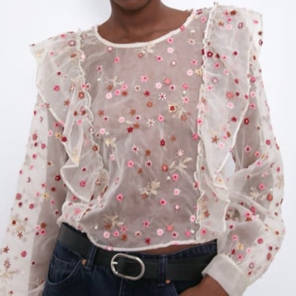 Zara Sheer Floral Embroidered Organza Blouse Ruffle Sleeve Size Small Spring